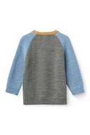 Grey and blue color block ribbed knit sweater with mustard trim neckline, flat lay from behind on white background