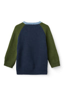Navy ribbed knit sweater with olive green sleeves and light blue neckline trim, flat lay from behind on white background