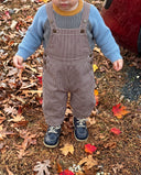 Toddler wearing brown and cream striped overalls with blue knit sweater and mustard turtleneck, standing in fall leaves